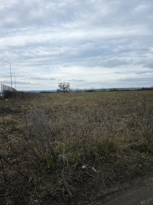 Teren intravilan Vaslui Strada Dimitrie Cantemir