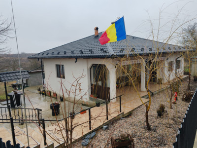 Casa de vanzare Manjesti Vaslui
