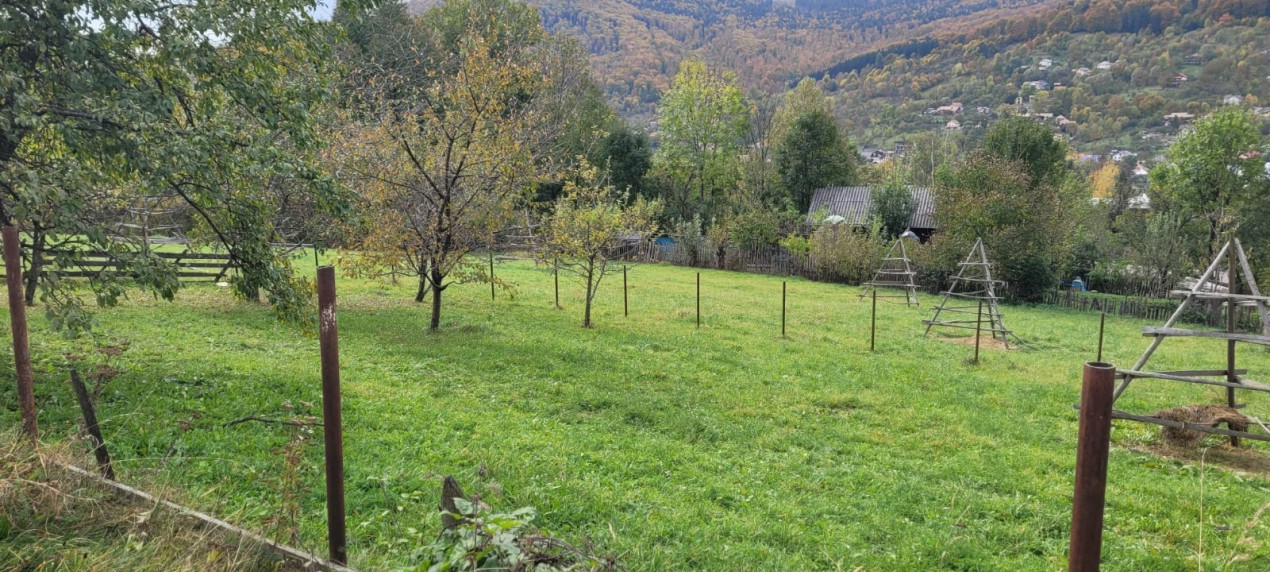 Teren in Valea Doftanei, zona Tesila, Prahova