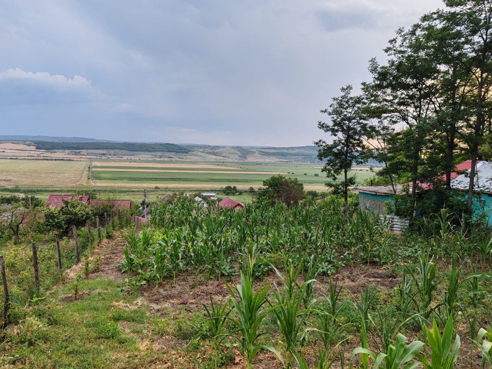 Teren situat in zona Muntenii de Jos, Vaslui, 525 mp