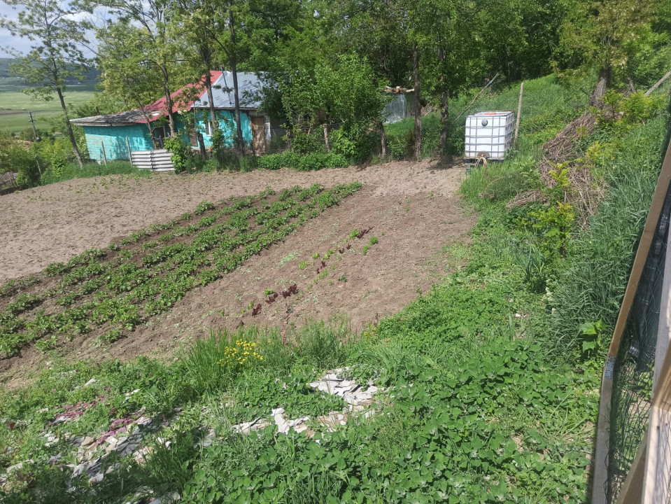 Teren situat in zona Muntenii de Jos, Vaslui, 525 mp