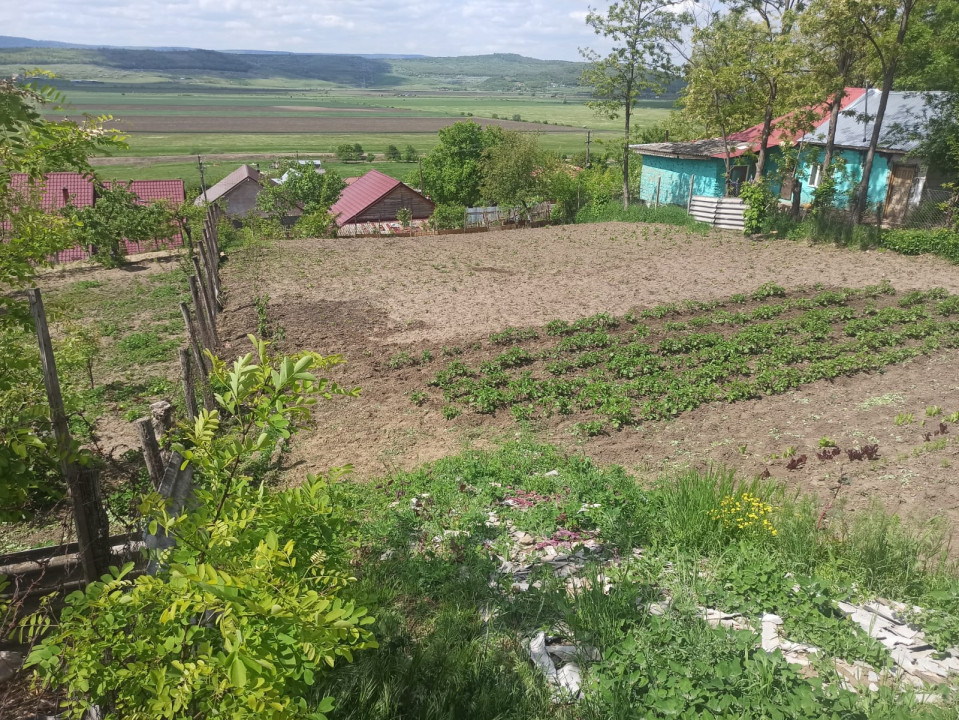 Teren situat in zona Muntenii de Jos, Vaslui, 525 mp